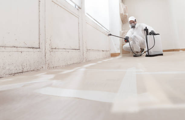 24/7 Emergency Mold Testing experts in Salisbury, NC